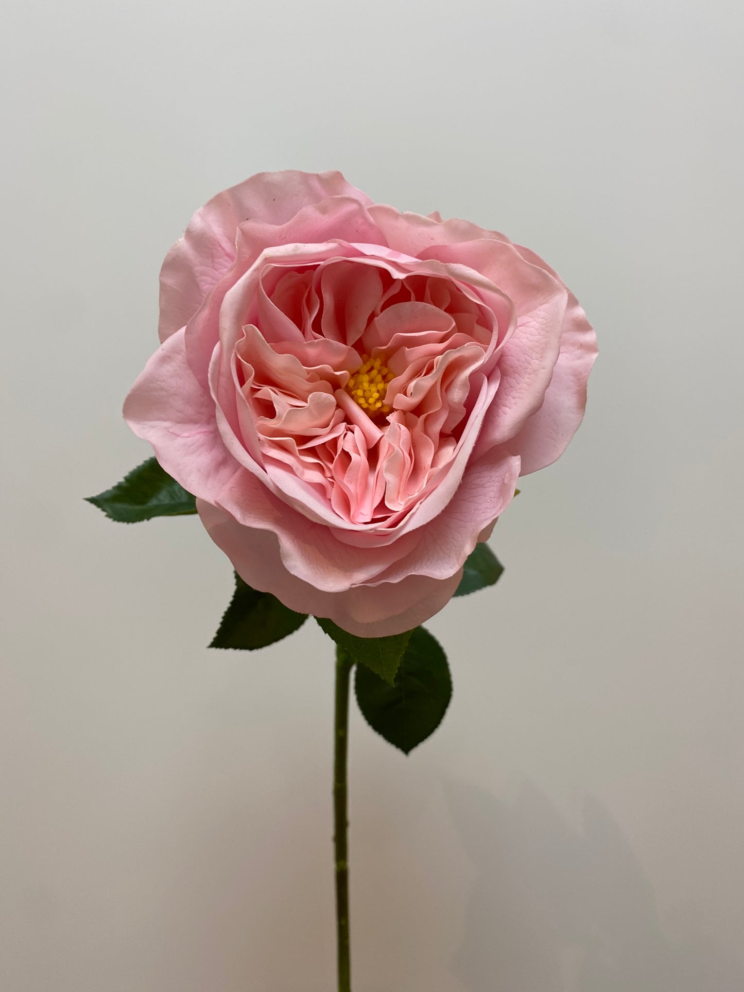 Real Touch Pink Austin Rose Single Stem Artificial Faux Flowers