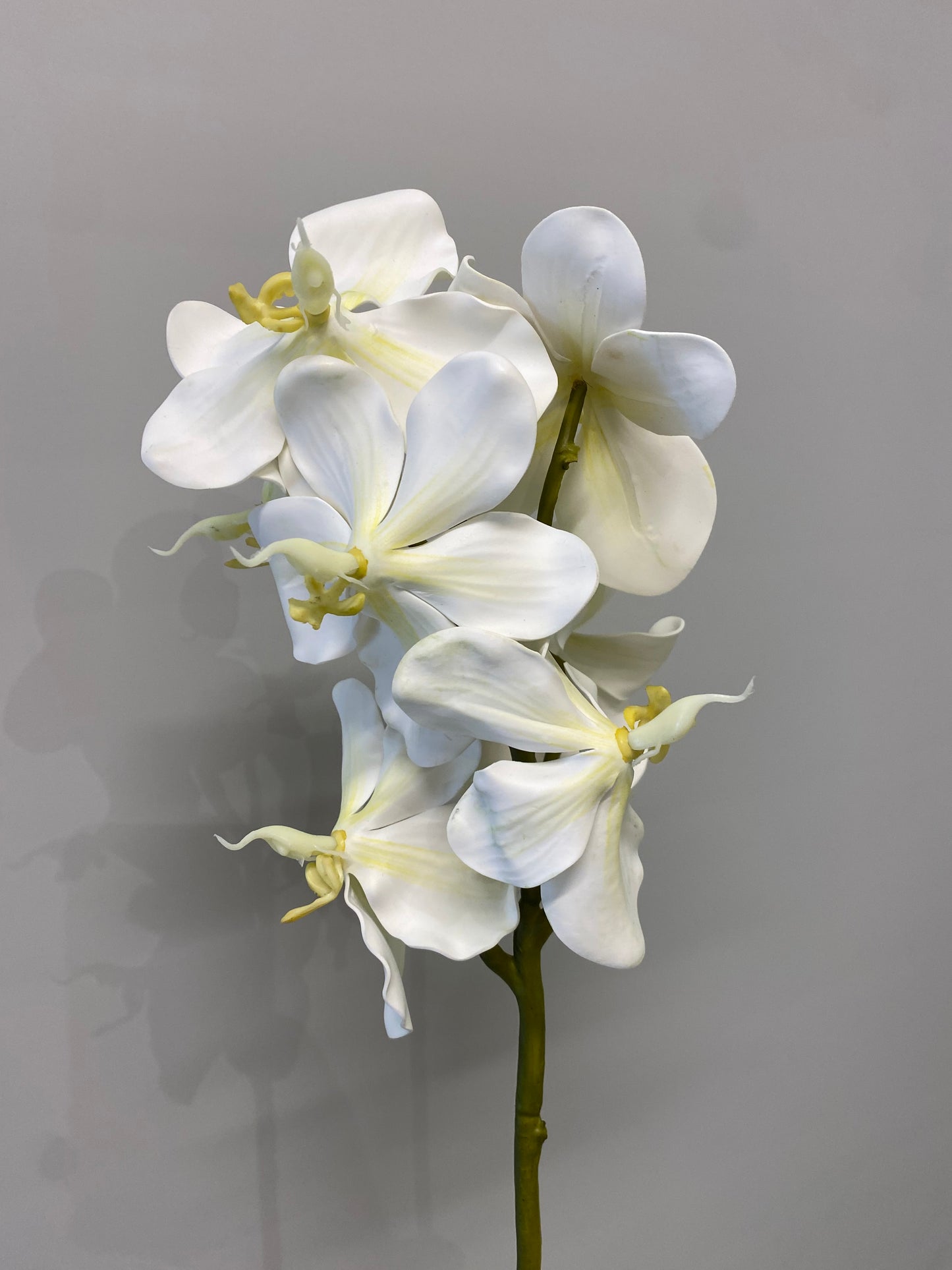 Real Touch White Vanda Orchid Single Stem Artificial Faux Flowers