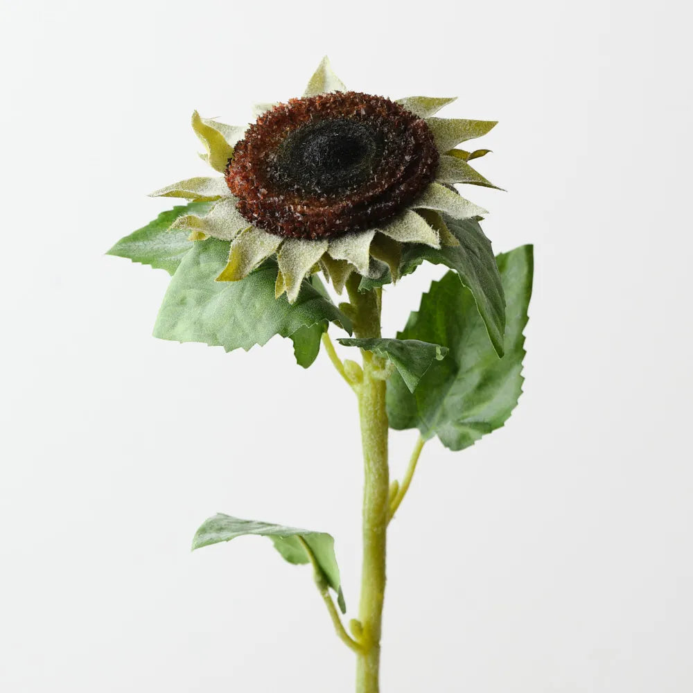 Tayla Edwards flower order