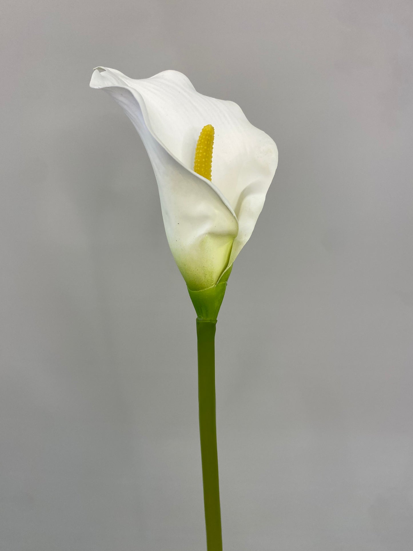 Real Touch White Calla Lily Single Stem Artificial Faux Flowers
