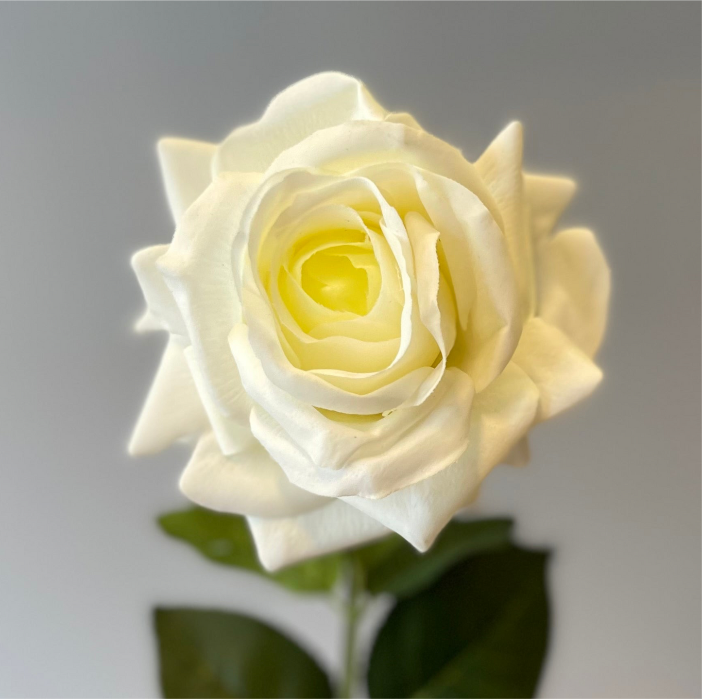 Real Touch White Hannah Rose Green center Single Stem  Artificial Flower