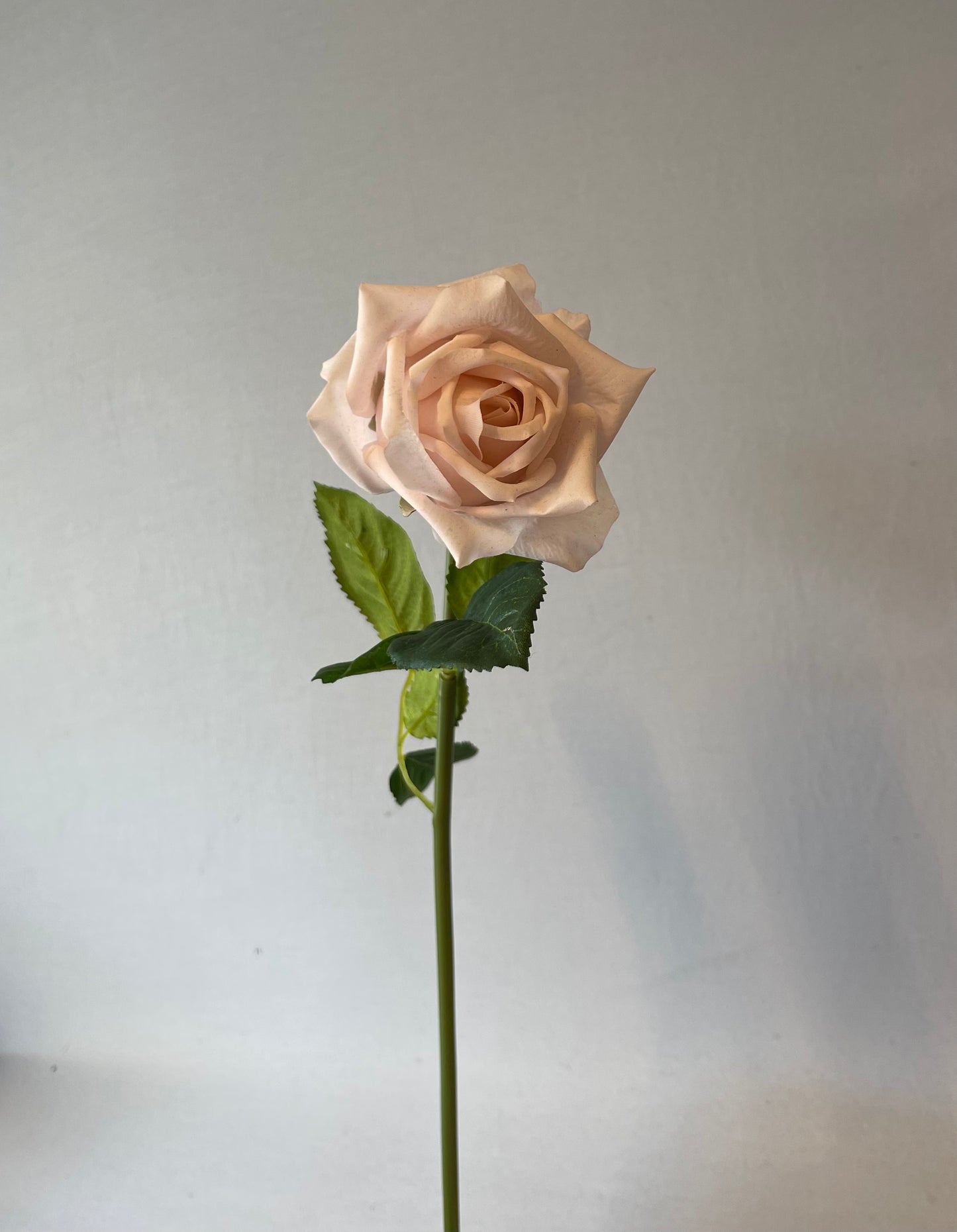 Real Touch Soft Pink Lola Rose Artificial Flower