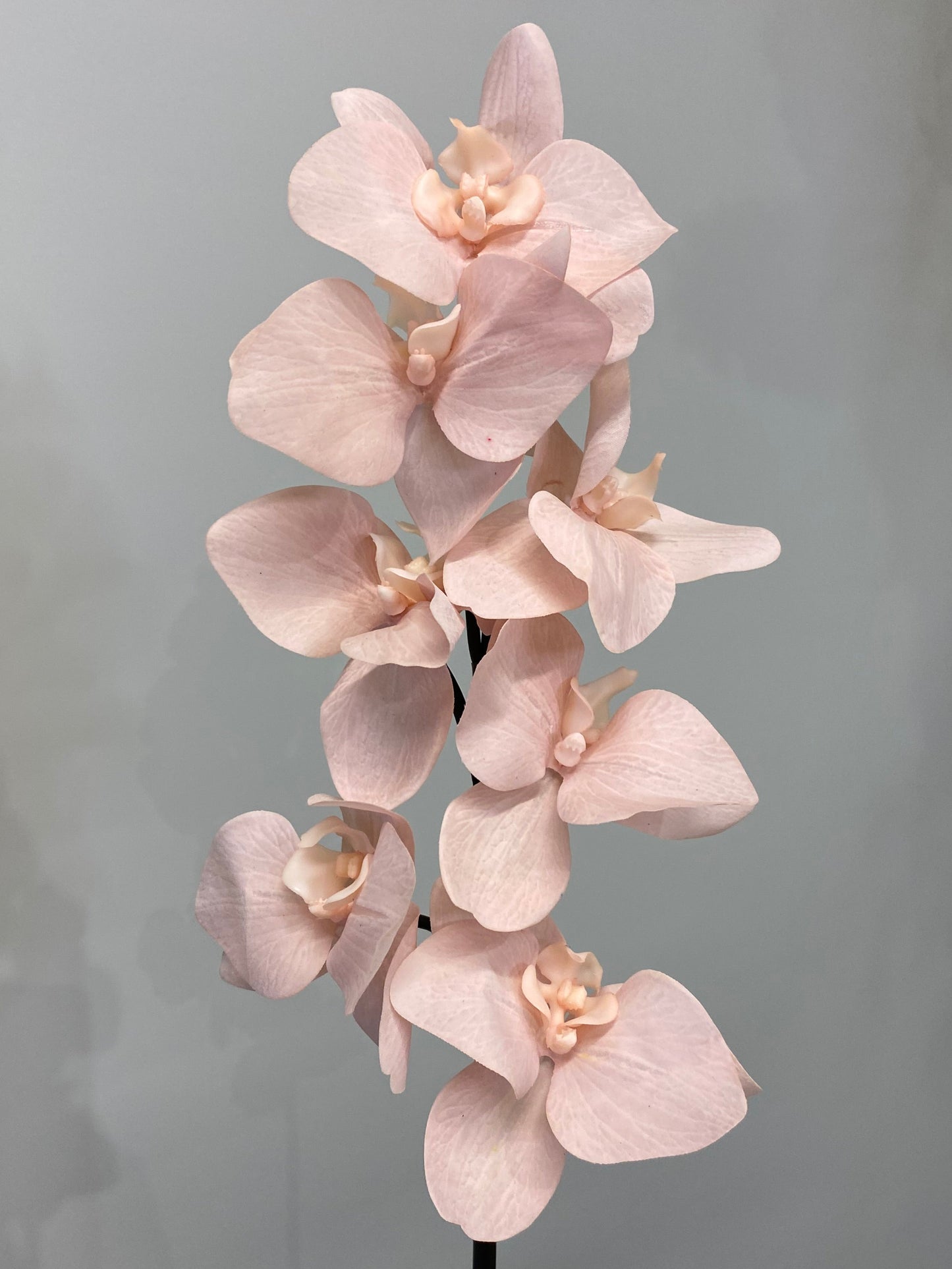 Real Touch Pink Orchid Black Stem Artificial Faux Flowers