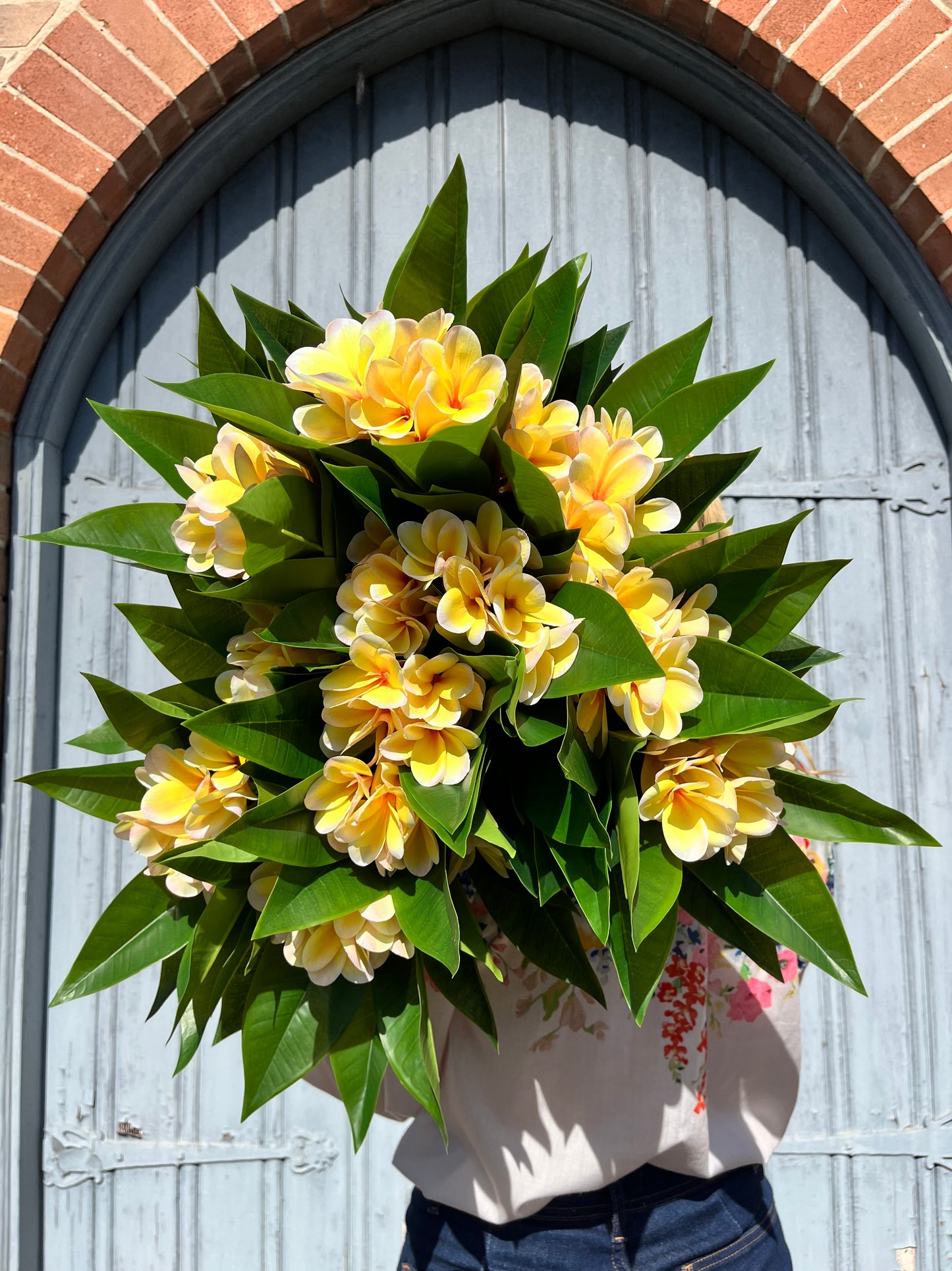 Frangipani Artificial Flowers Spray Single Stem