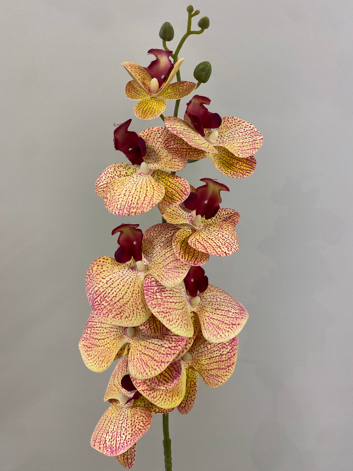 Burgundy Orange Orchid Artificial Flower