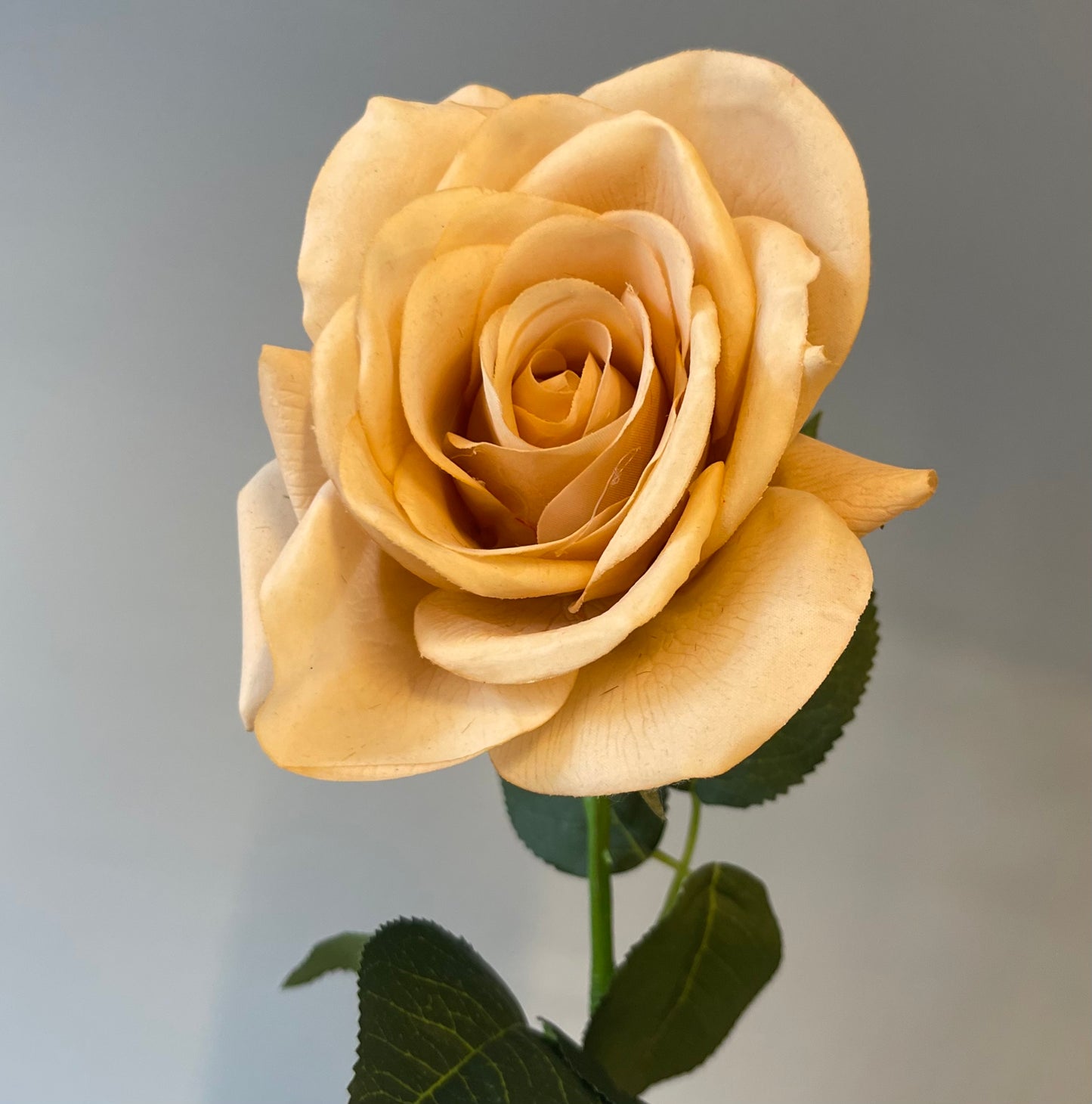 Real Touch Blush Tessa Rose Single Stem Artificial Flowers Faux Flowers