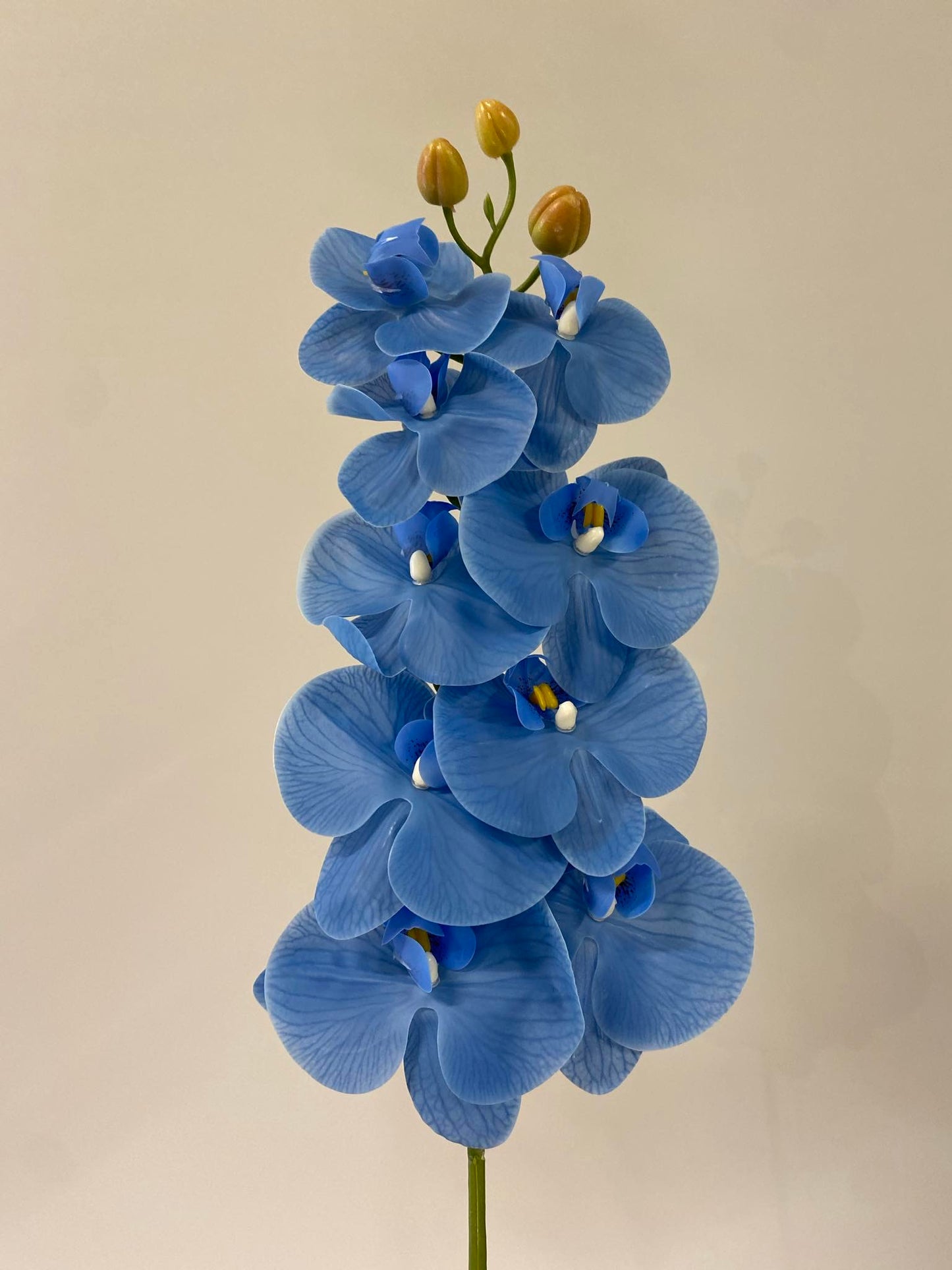 Ocean Blue Orchid Single Stem Artificial flowers Faux Flowers