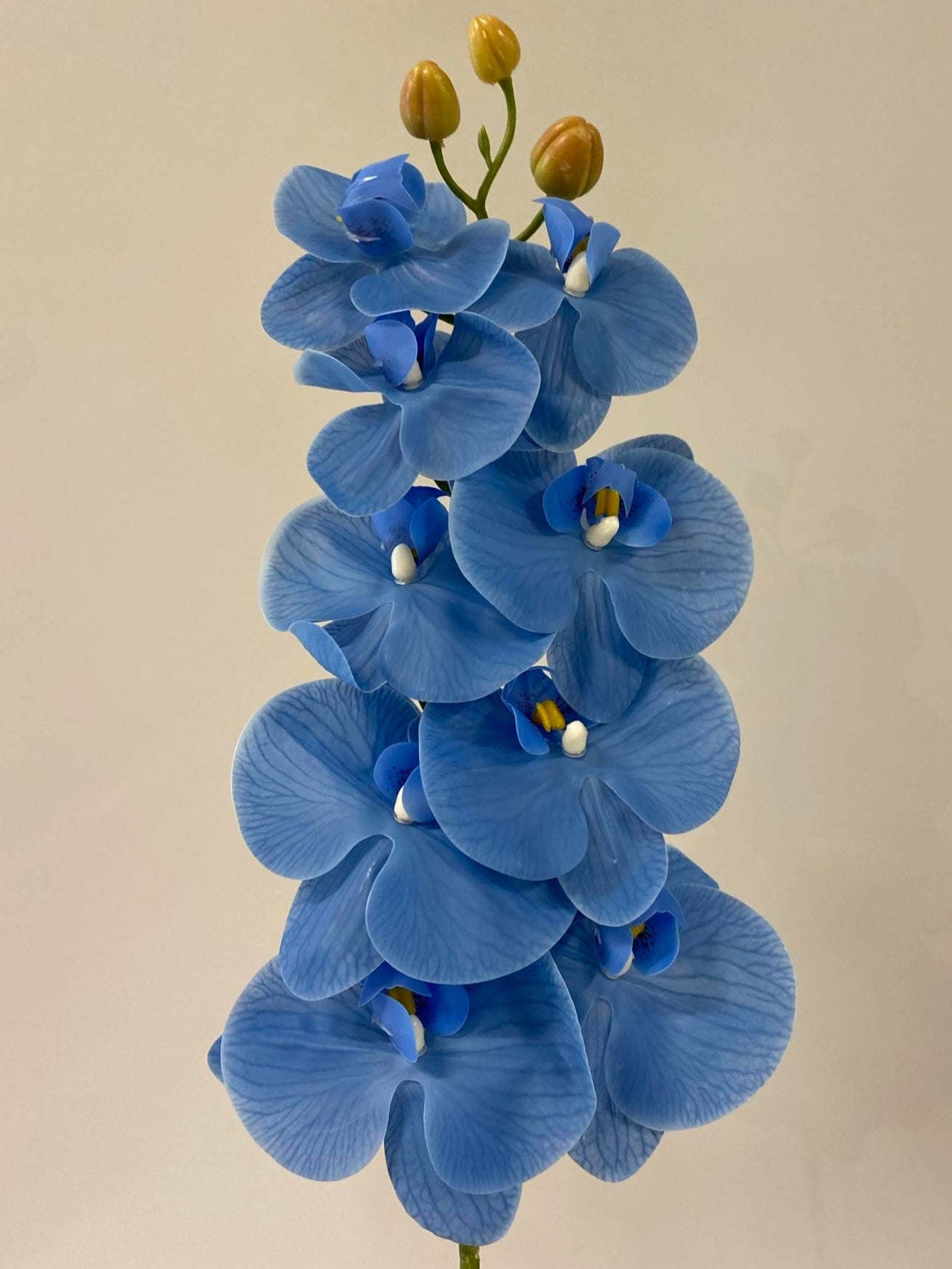 Ocean Blue Orchid Single Stem Artificial Faux Flowers