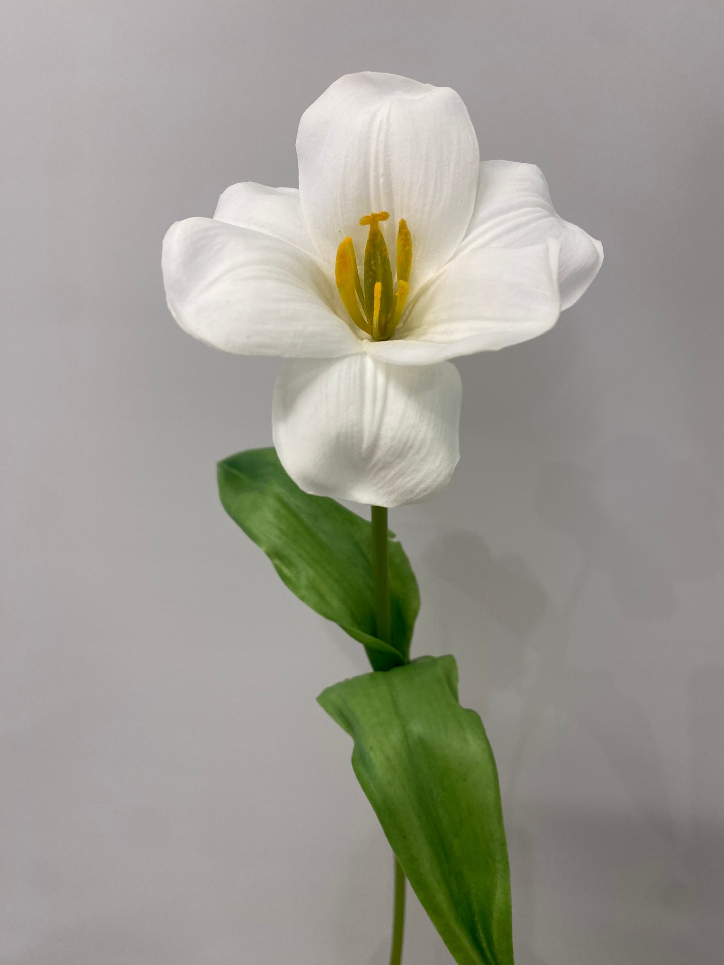 Real Touch White Open Tulip Single Stem Artificial Faux Flowers