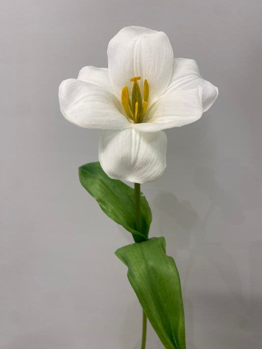 Real Touch White Open Tulip  Single Stem Artificial Faux Flowers