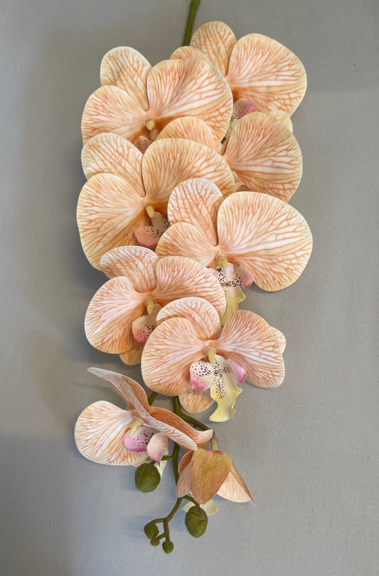 Burnt Orange Orchid Single Stem Artificial Flowers Faux Flowers