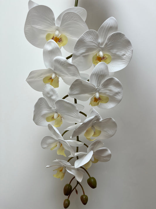 Real Touch White Orchid Single Stem Artificial Faux Flowers