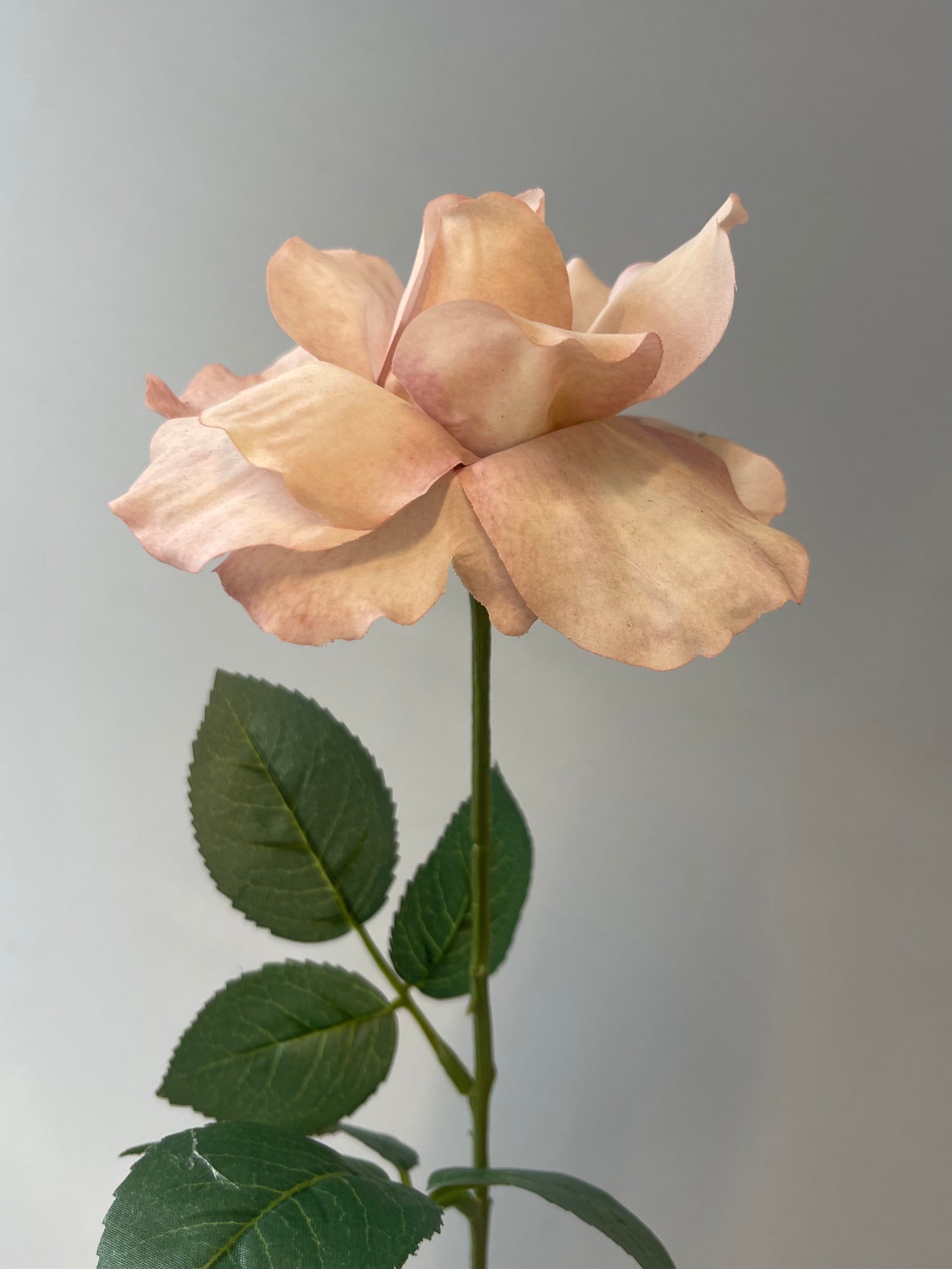 Dusty Pink Alice Rose Single Stem Artificial Faux Flower