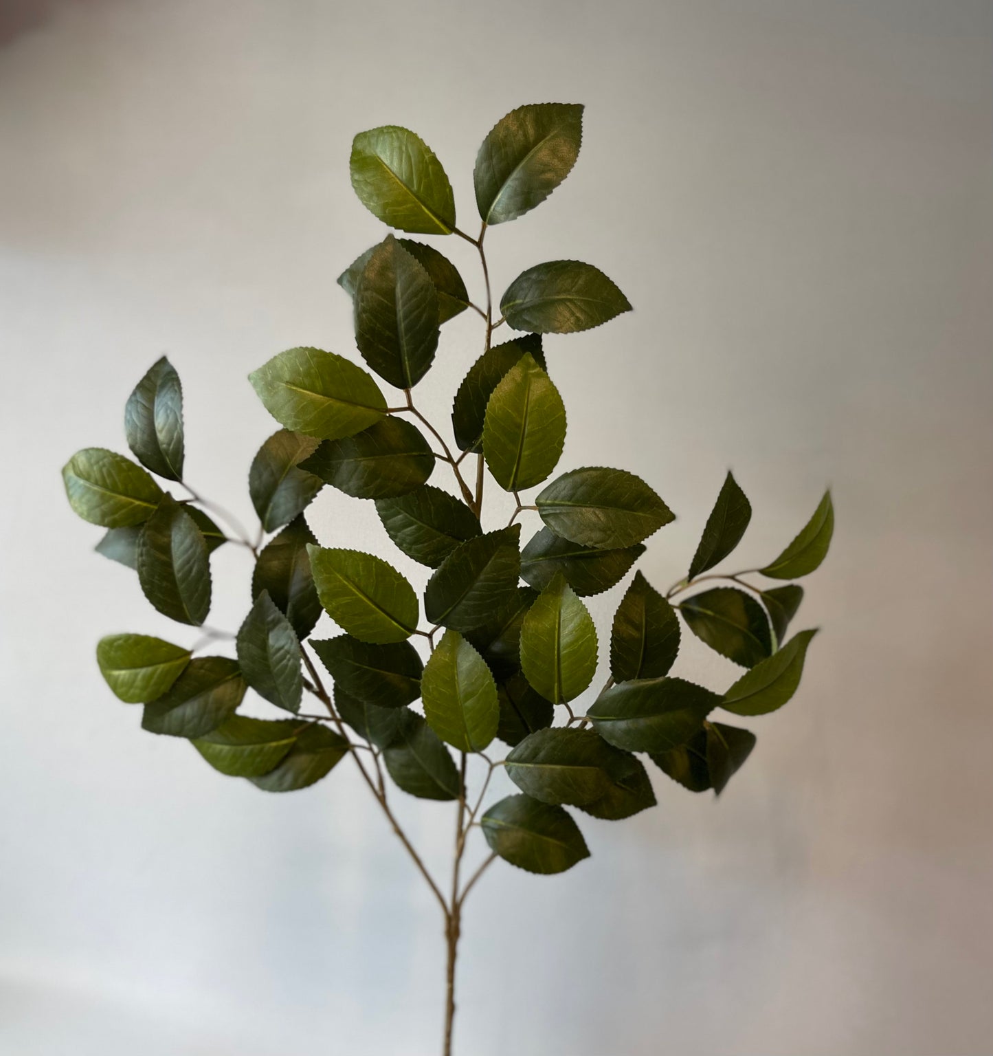 Camelia Green Leaf Spray Single Stem Artificial Flowers