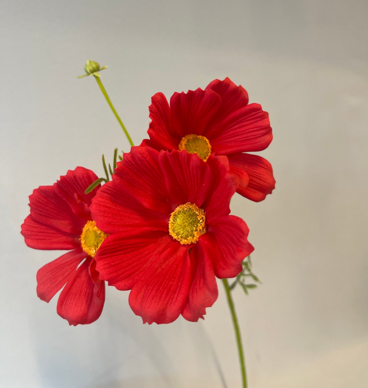 Real Touch Red Cosmos Spray Single Stem Artificial Flowers Faux Flowers