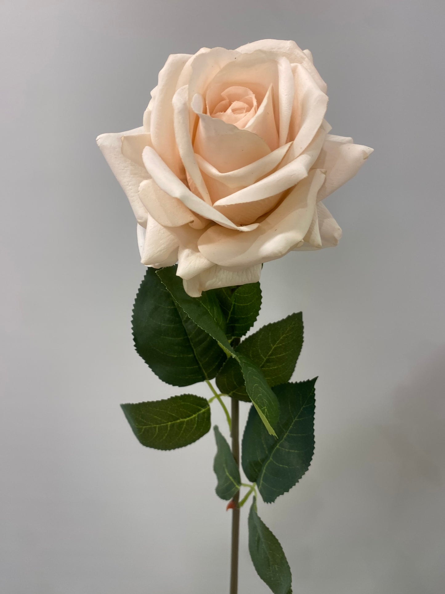 Real Touch Soft Pink Hannah Rose Single Stem Artificial Flowers