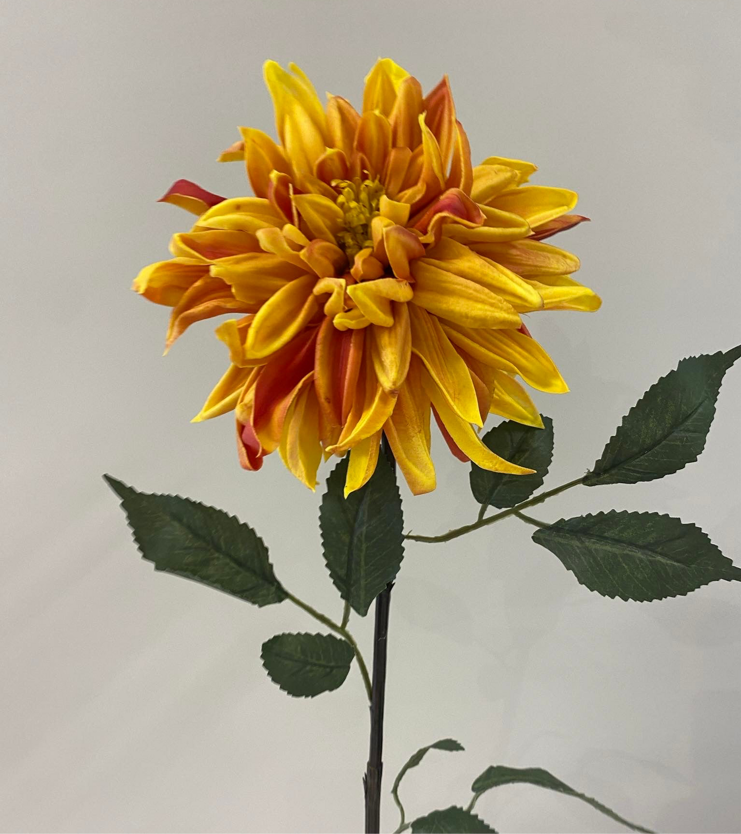 Real Touch Orange Burnt Dahlia Artificial Faux Flowers