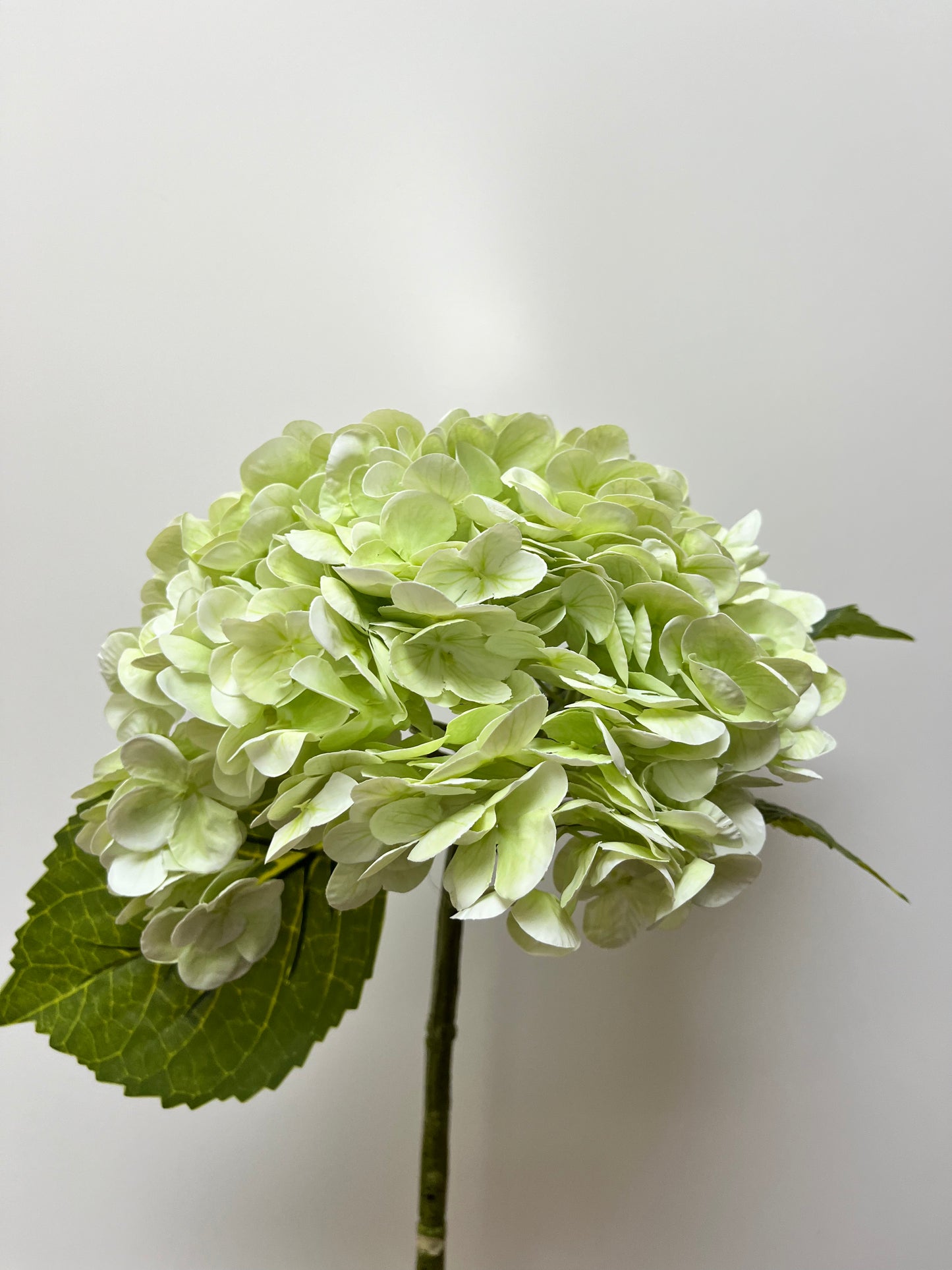 Real Touch Light Green Hydrangea Single Stem Artificial Faux Flowers