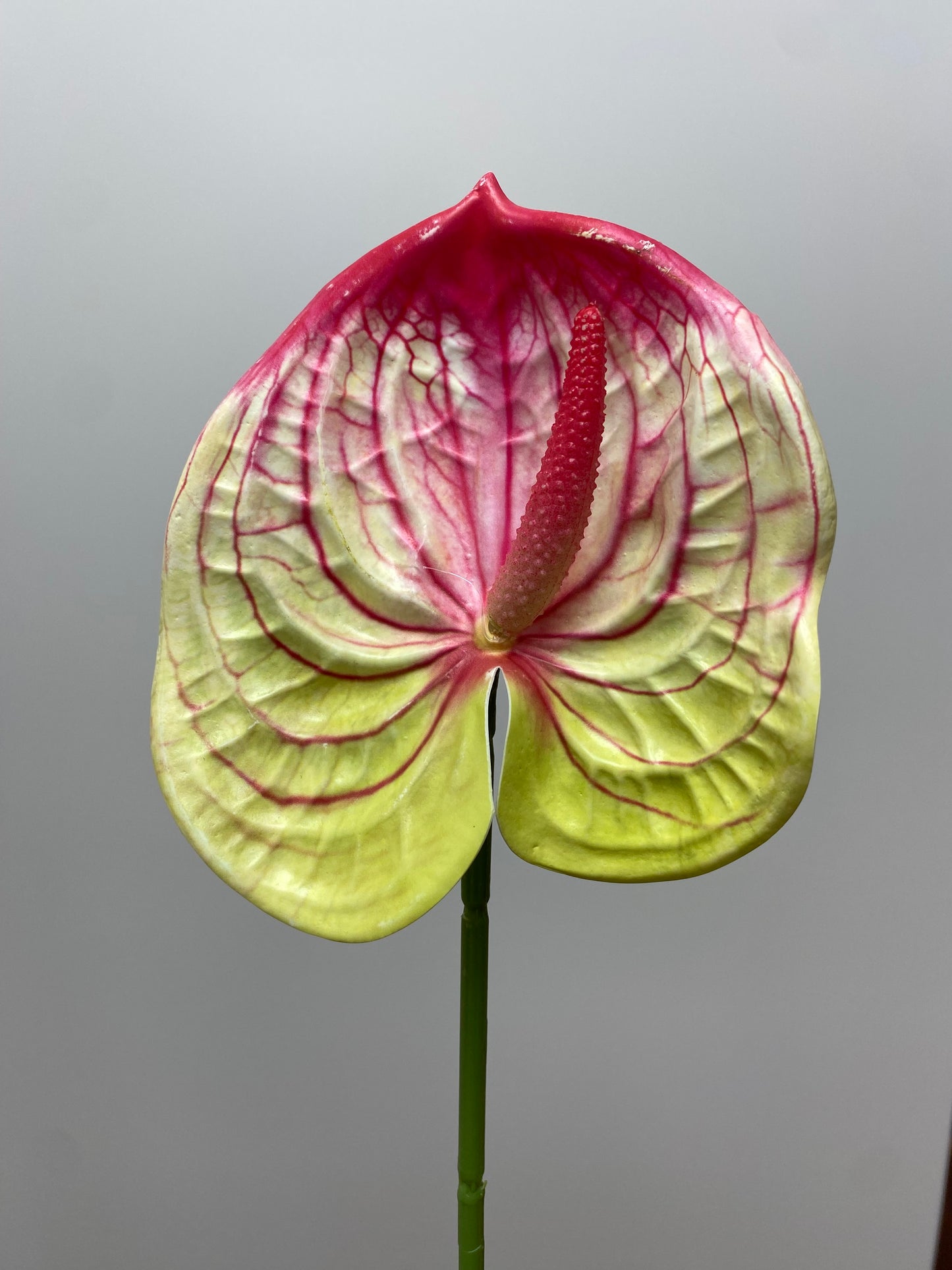 Green And Red Anthurium Single Stem Artificial Faux Flowers Small