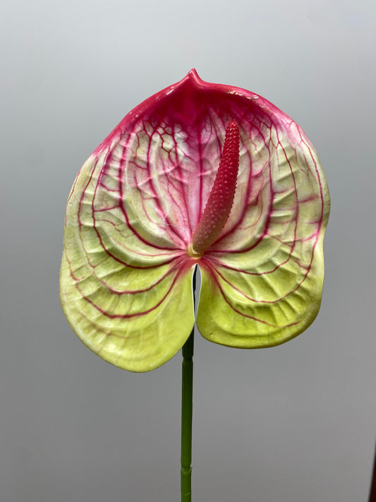 Green And Red Anthurium Single Stem Artificial Faux Flowers Small