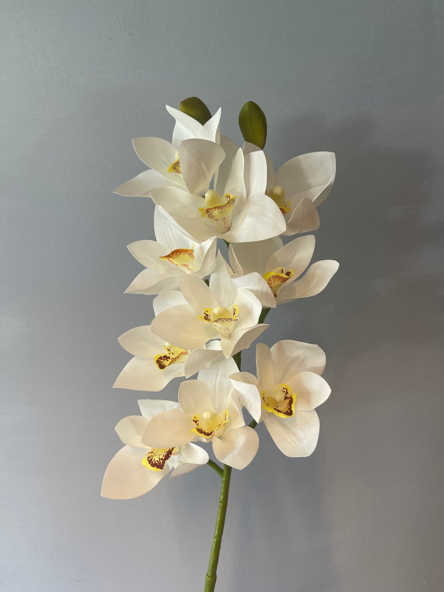 White Cymbidium Orchid Single Stem Artificial Flowers