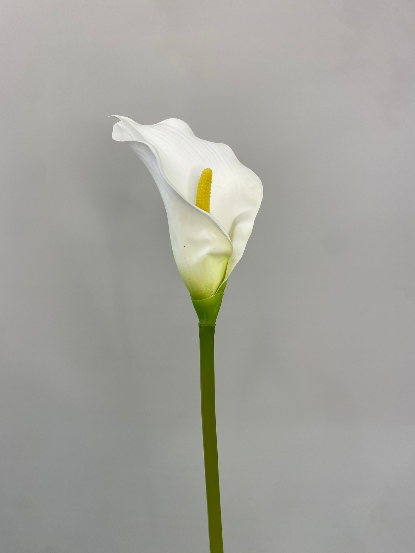 Real Touch White Calla Lily Single Stem Artificial Faux Flowers