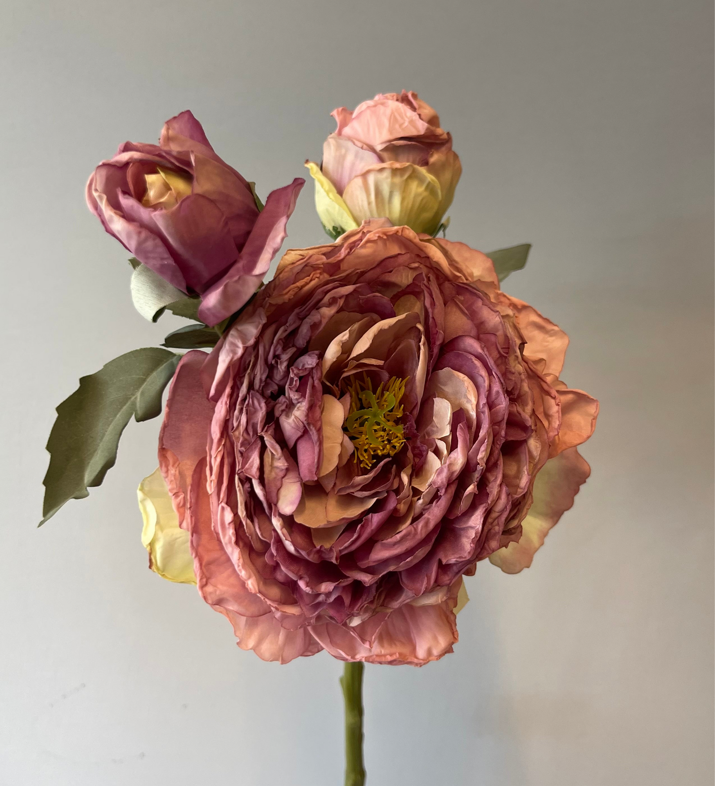 Purple Burnt Peony Spray Single Stem