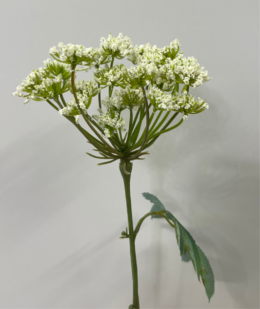 Real Touch Queen Anne's Lace Single Stem Artificial Faux Flowers