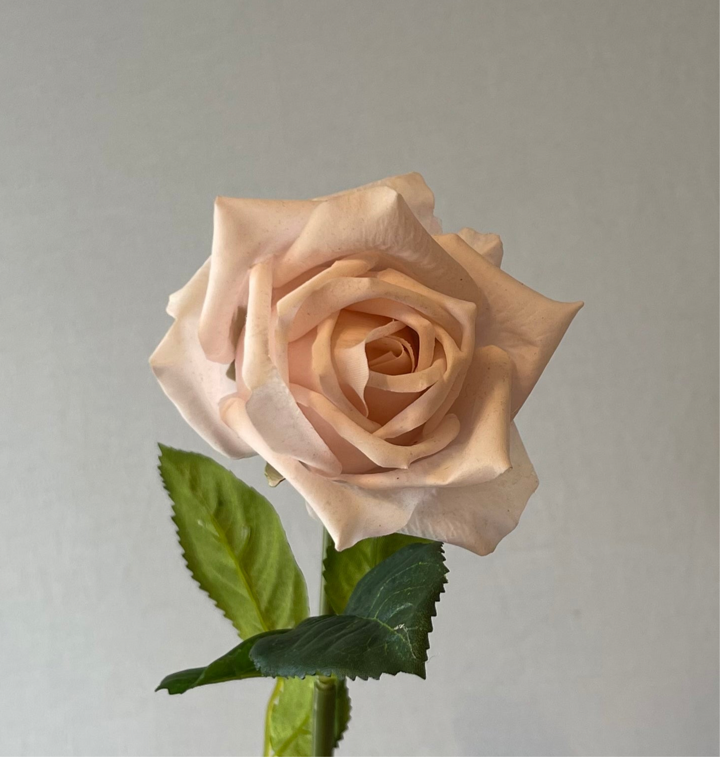 Real Touch Soft Pink Lola Rose Artificial Flower