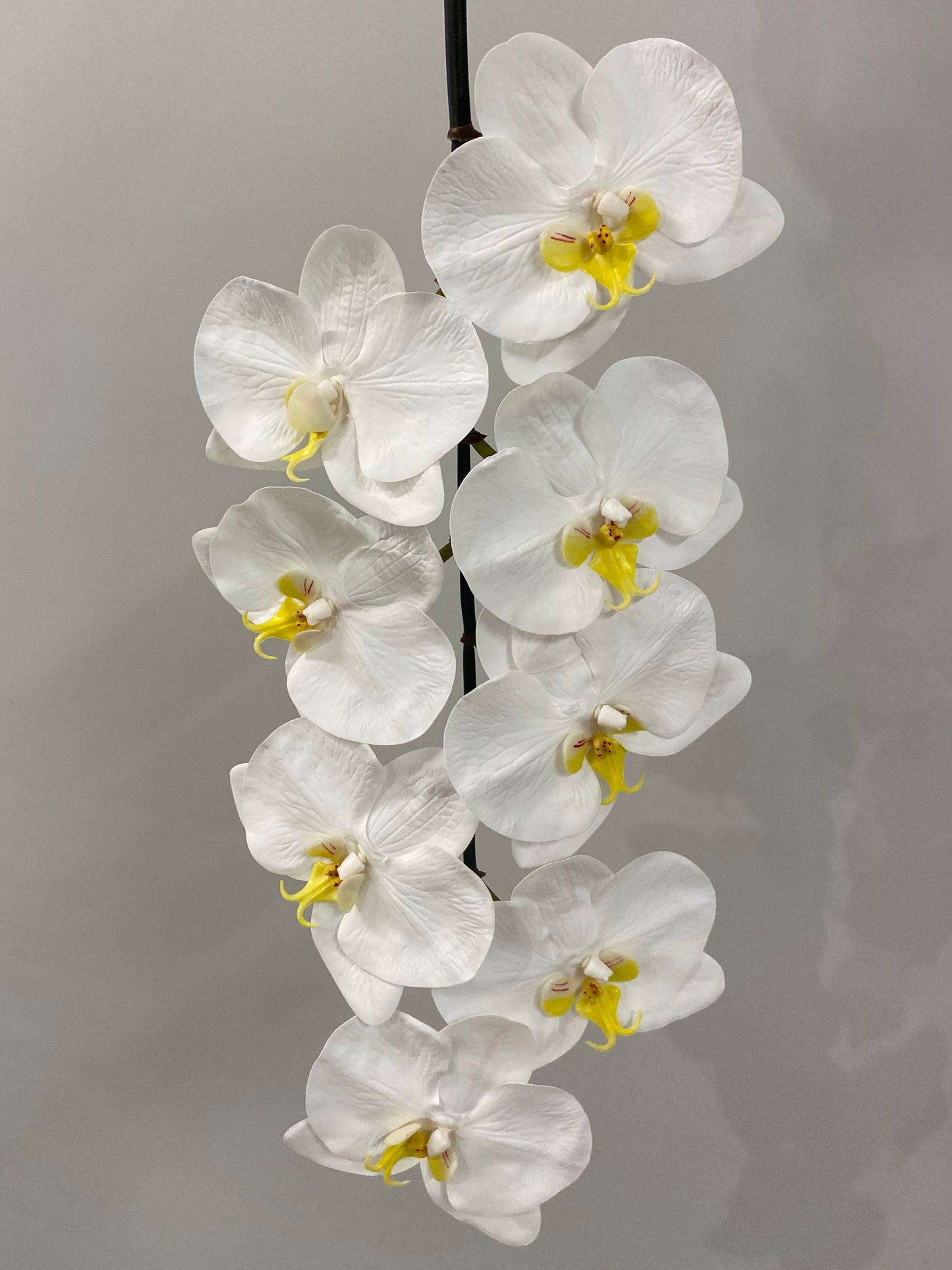 Real Touch White Orchid Black Stem Artificial Flower