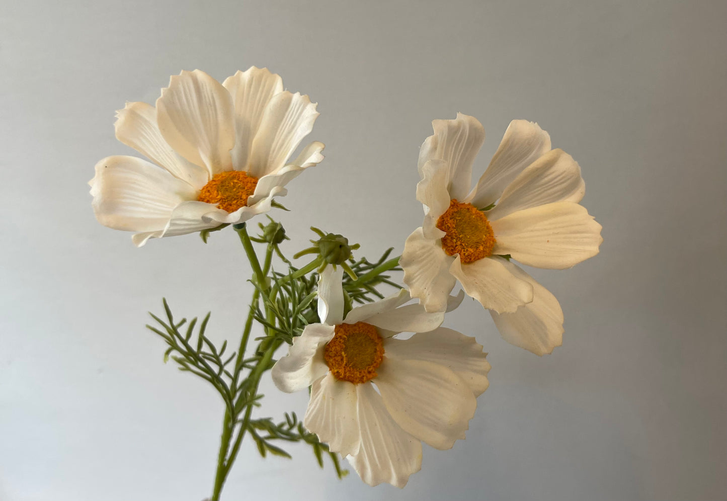 Real Touch White Cosmos Spray Artificial Faux Flowers