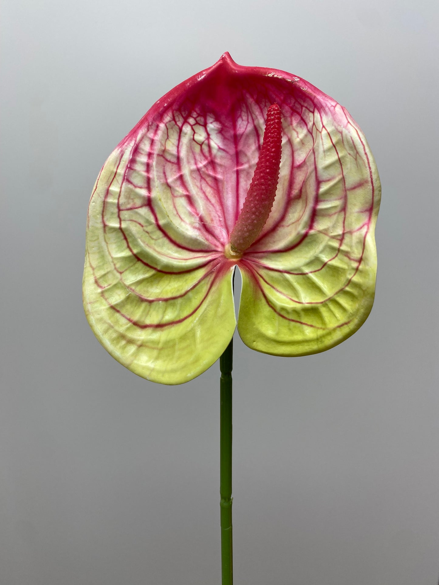 Green And Red Anthurium Single Stem Artificial Faux Flowers Small