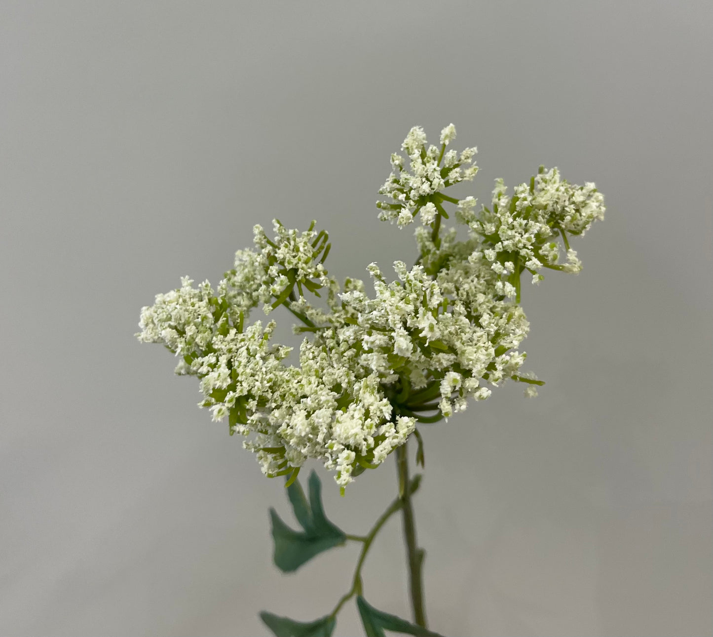 Real Touch Queen Anne's Lace Single Stem Artificial Faux Flowers