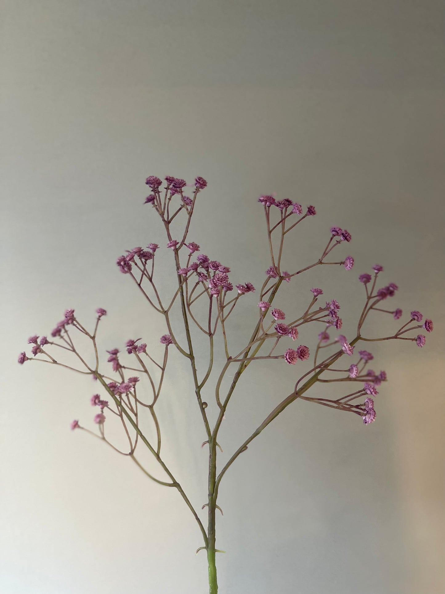 Purple Baby's Breath Single Stem Artificial Faux Flower