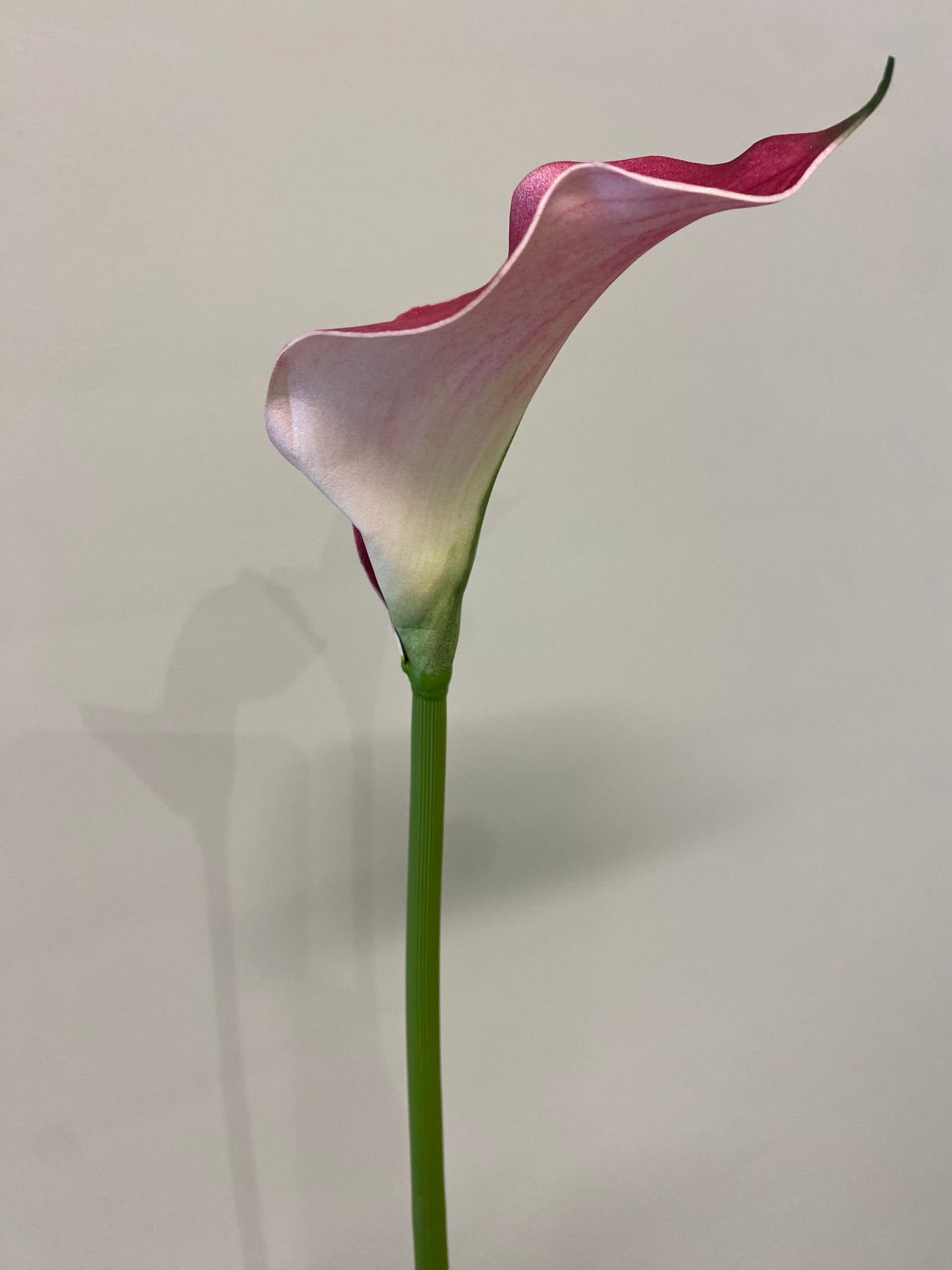 Real Touch Burgundy Calla Lily Single Stem Artificial Flowers Faux Flowers