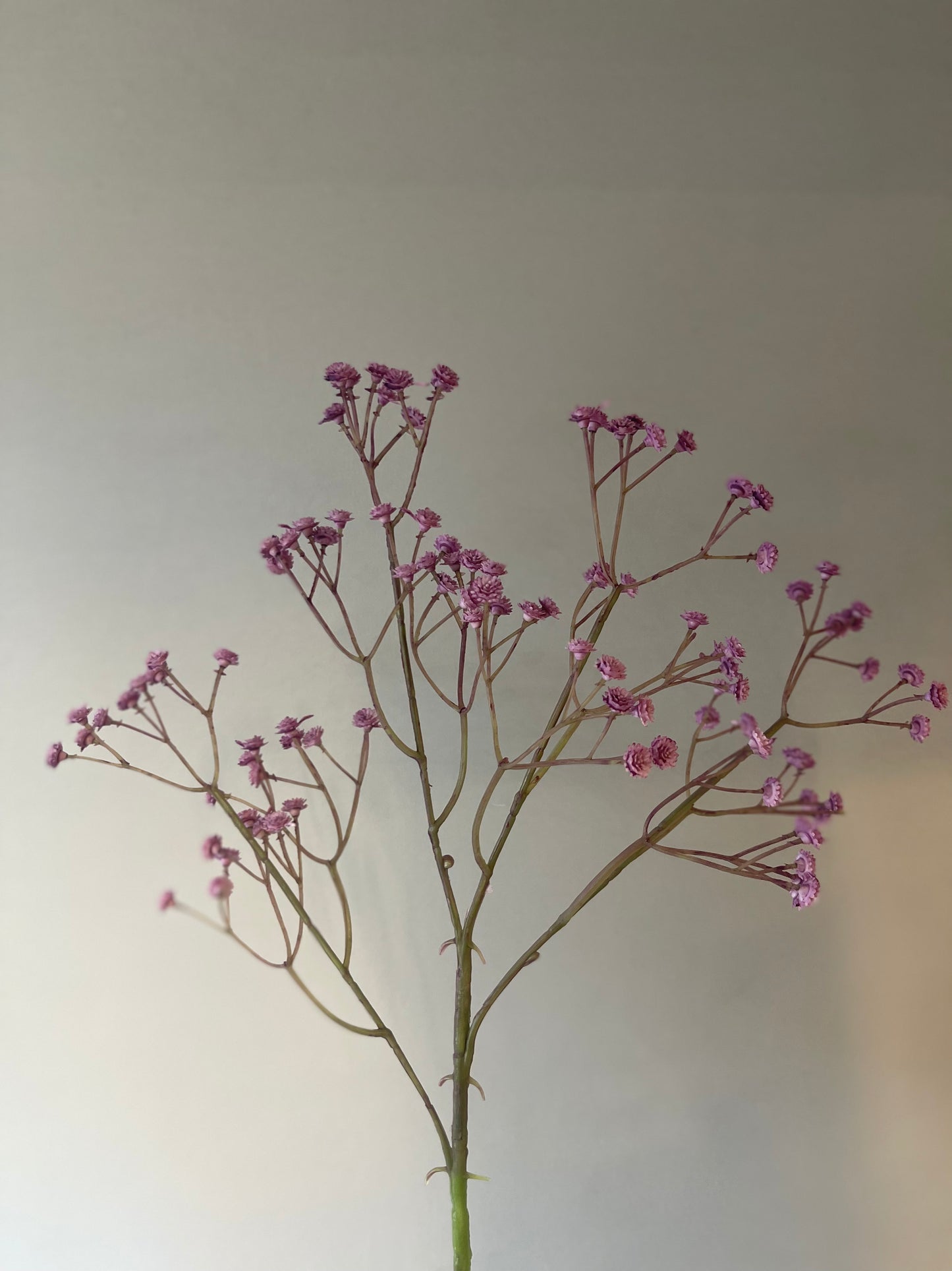 Purple Baby's Breath Single Stem Artificial Faux Flower