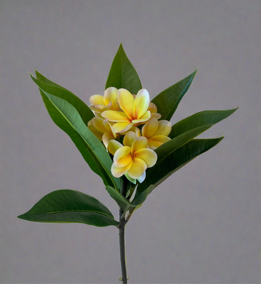 Frangipani Artificial Flowers Spray Single Stem