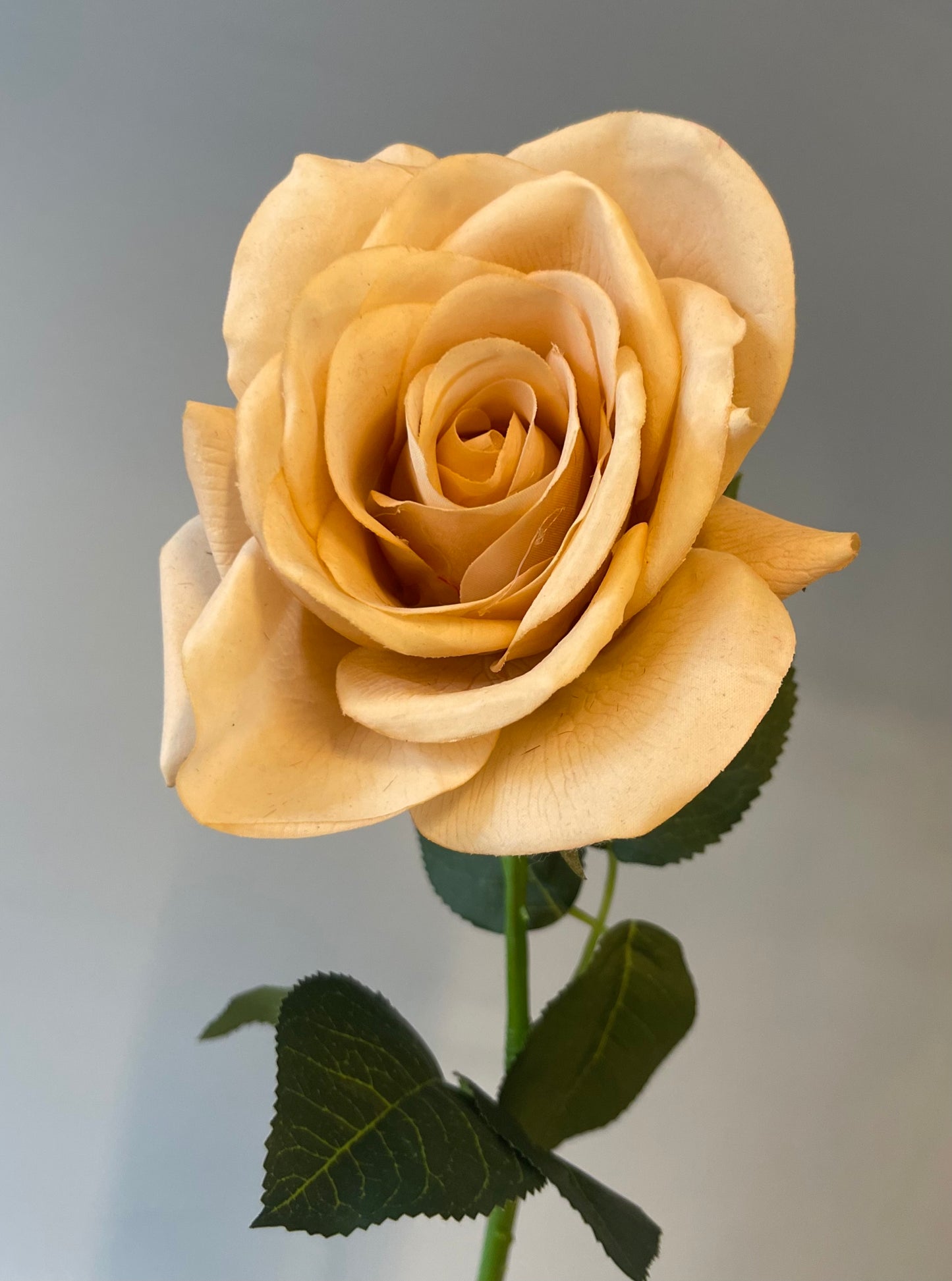 Real Touch Blush Tessa Rose Single Stem Artificial Flowers Faux Flowers