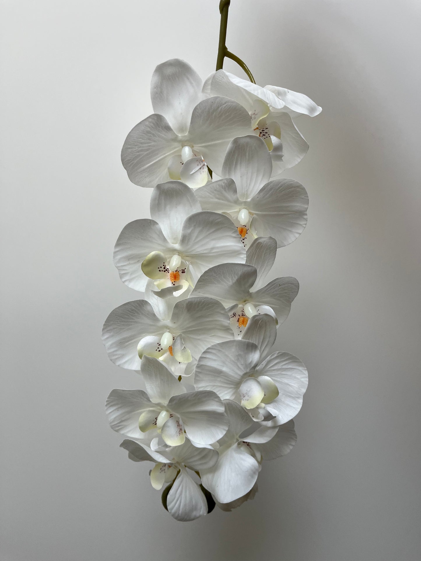 Real Touch White Orchid Single Stem Artificial flowers Faux Flowers