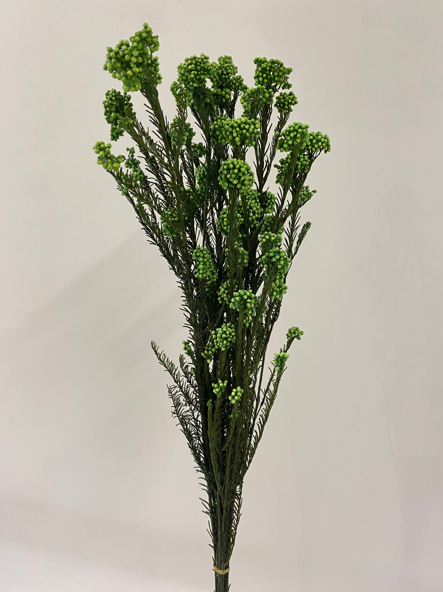 Green Dried Rice Flower Bunch