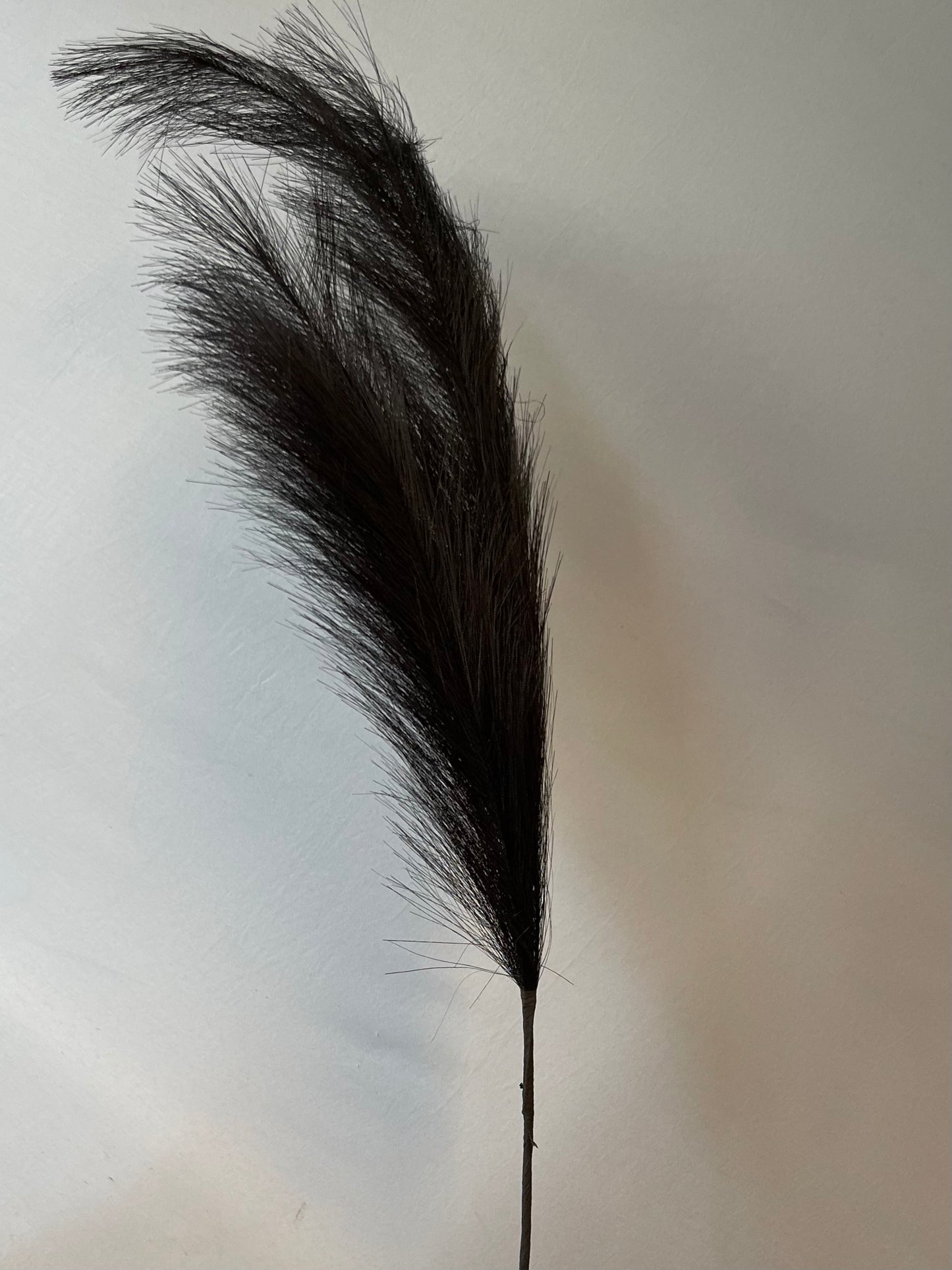 Black Pampas Single Stem Artificial Faux Flowers