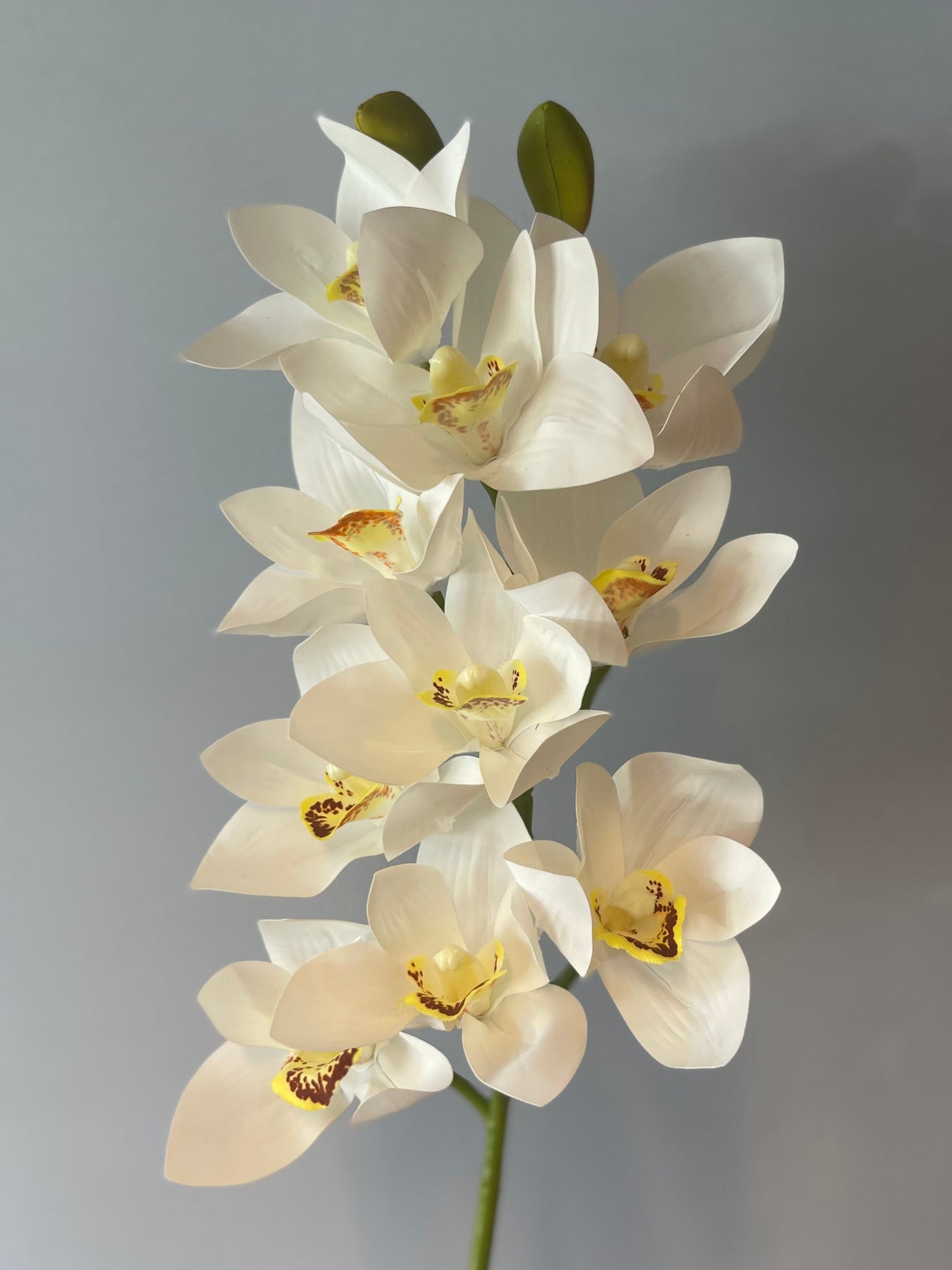 White Cymbidium Orchid Single Stem Artificial Flowers