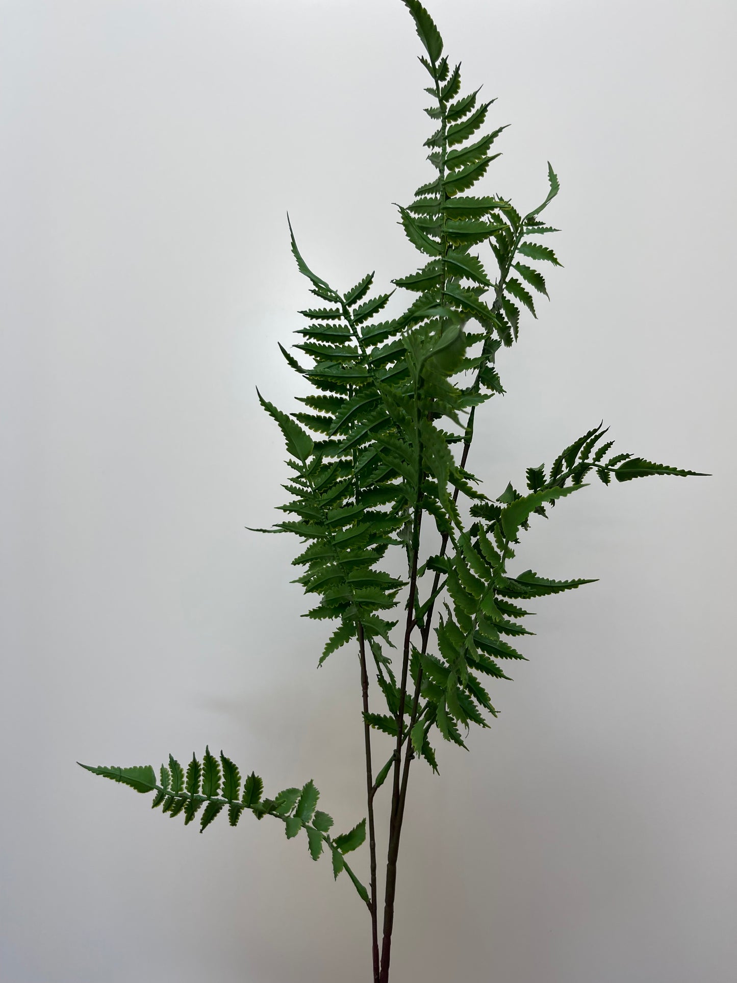 Green Fern Spray Single Stem Artificial Faux Flowers