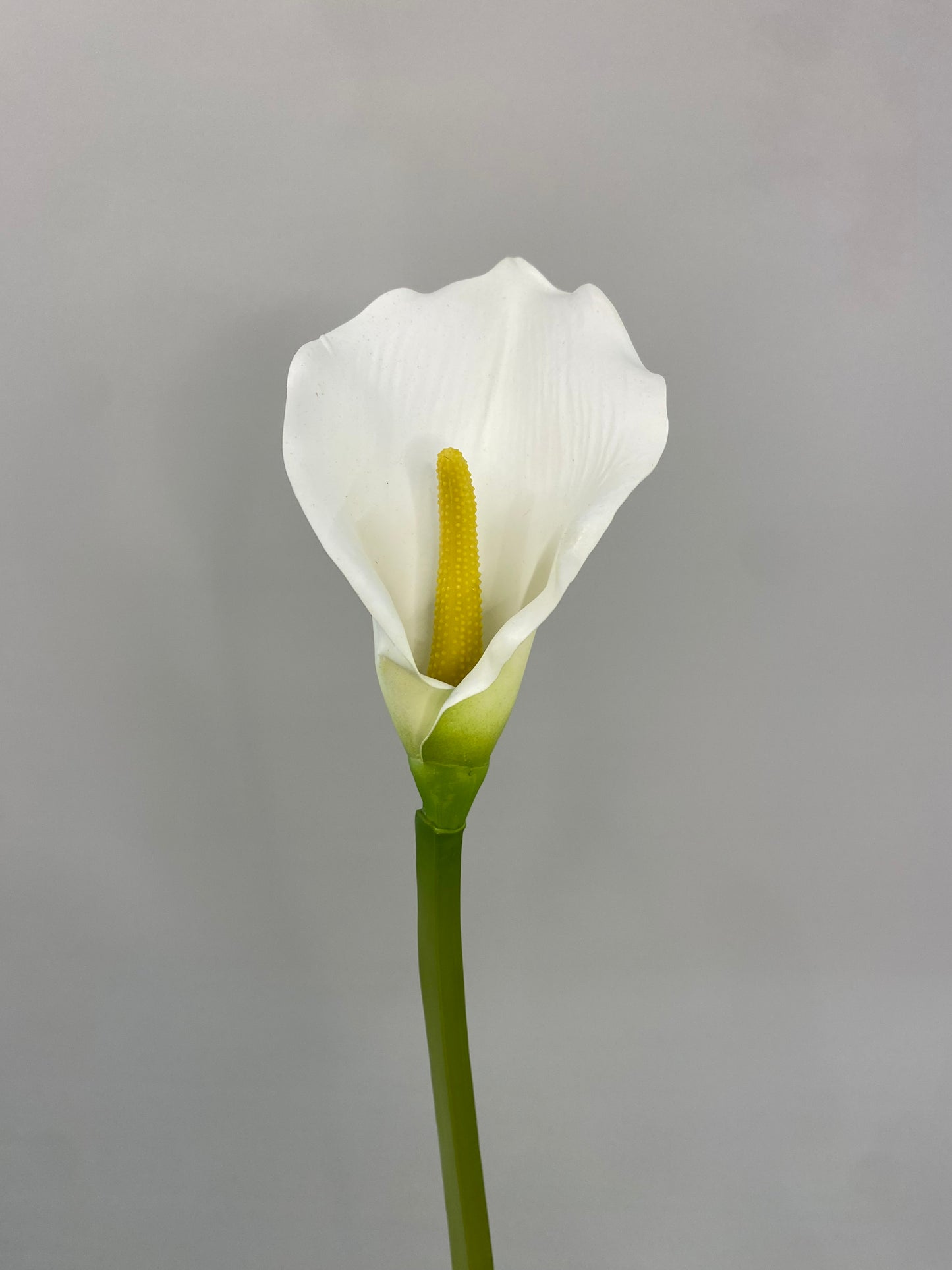 Real Touch White Calla Lily Single Stem Artificial Faux Flowers