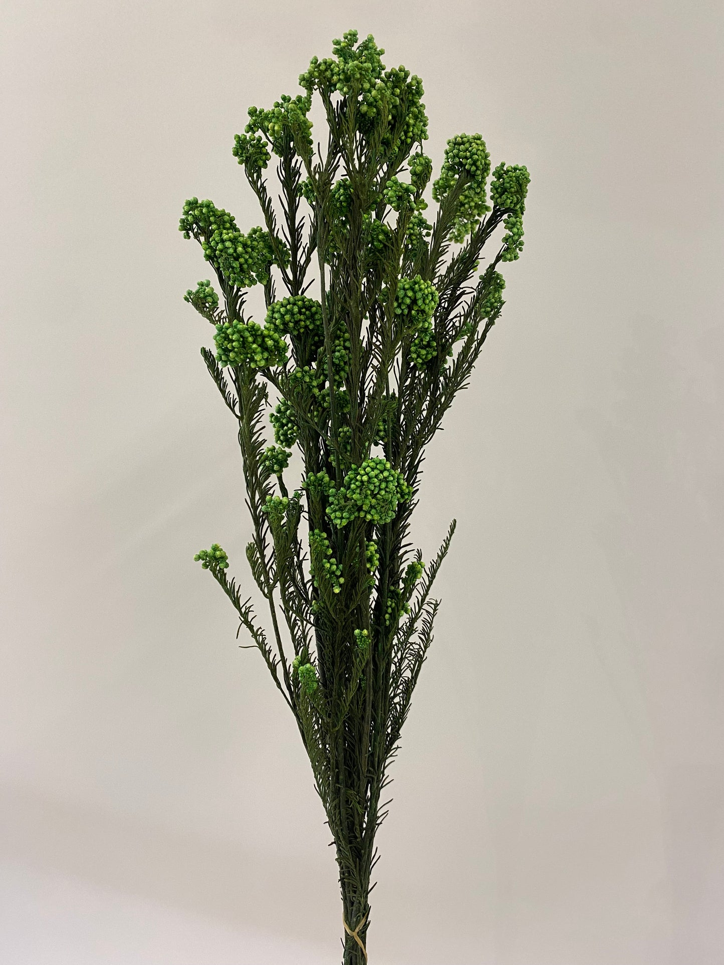 Green Dried Rice Flower Bunch