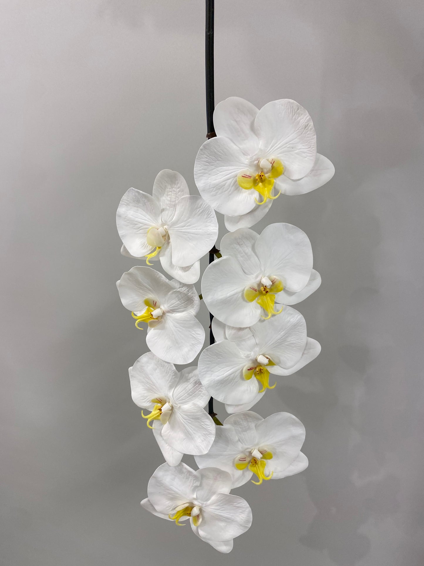 Real Touch White Orchid Black Stem Artificial Flower O8