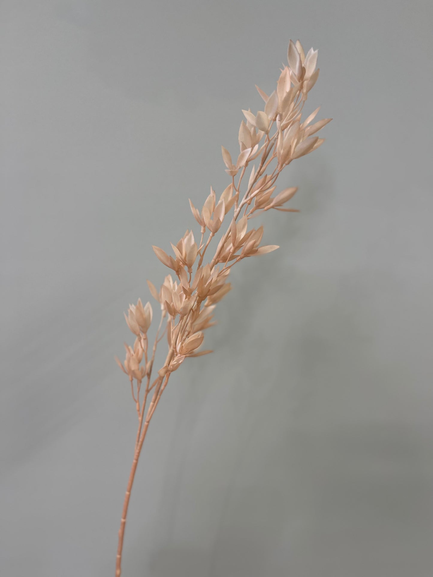 Michelia Light Pink Spray Single Stem Artificial Flowers Faux Flowers