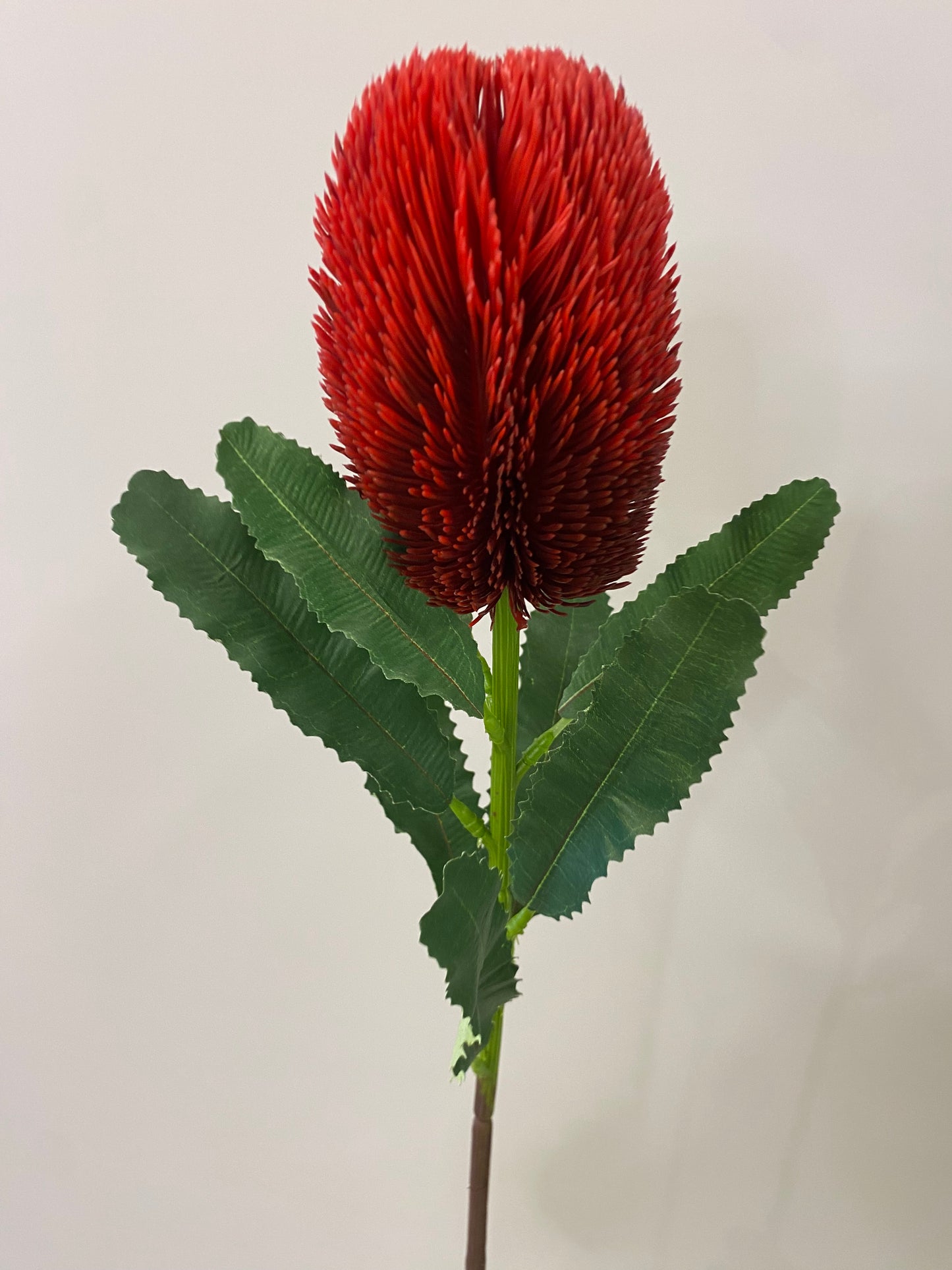 Red Banksia Artificial Single Stem Artificial Flowers