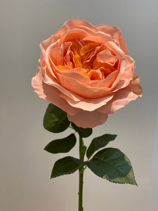 Real Touch Coral Austin Rose Single Stem Artificial Faux Flowers