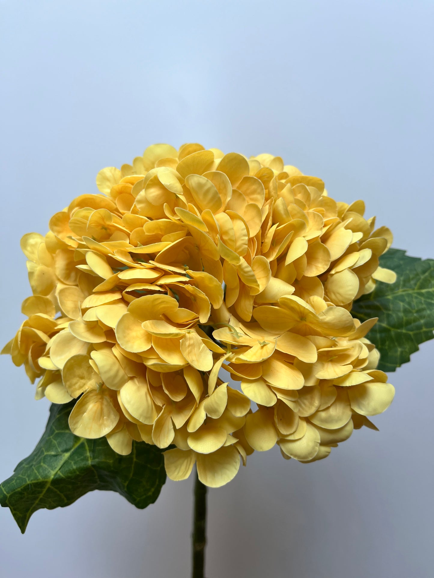 Real Touch Yellow Hydrangea Single Stem Artificial Faux Flowers